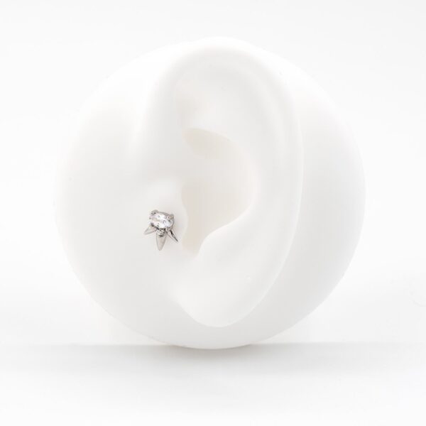 Piercing tragus maxi